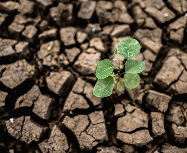 Release of sixth assessment report on climate change mitigation welcomed