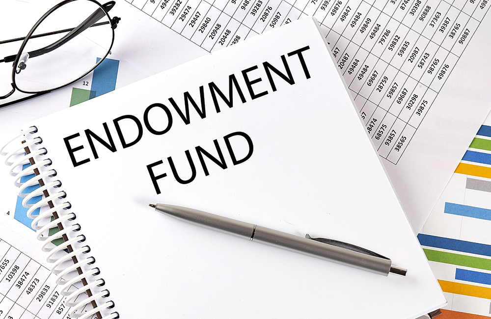 The basic features and key benefits of an endowment