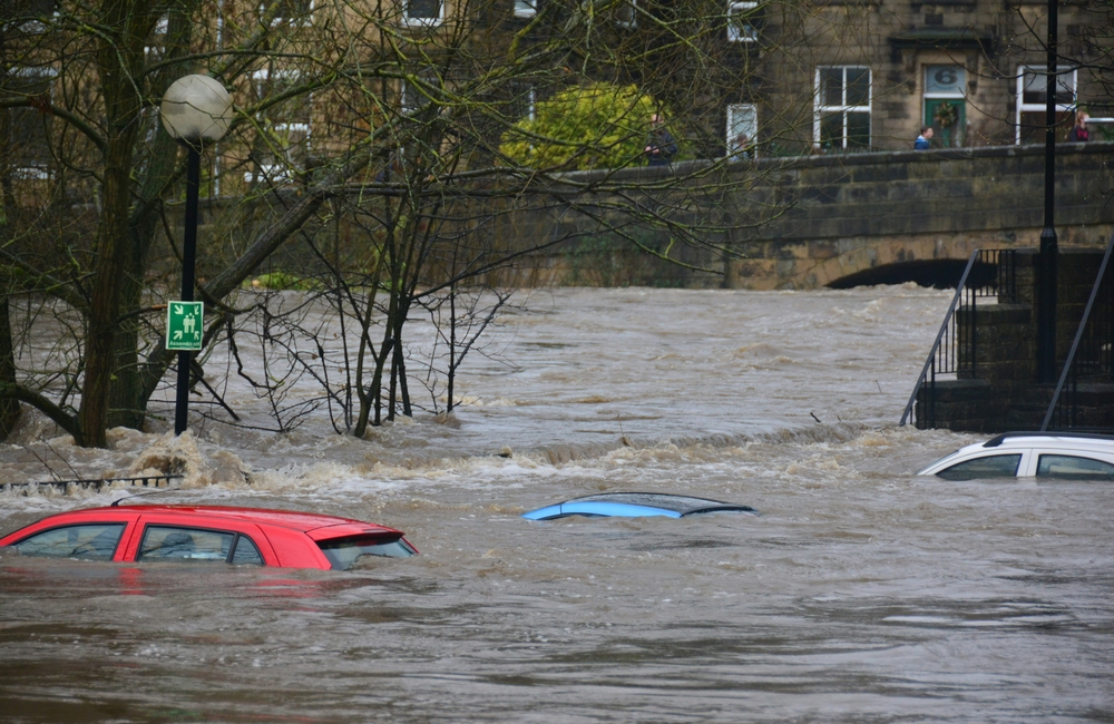 Flood recovery to future resilience: is the Western Cape prepared for what's next?