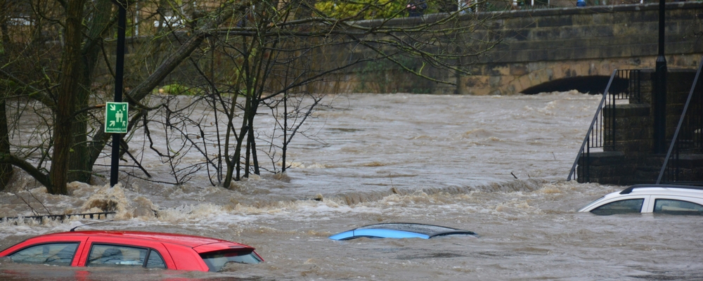 Flood recovery to future resilience: is the Western Cape prepared for what's next?