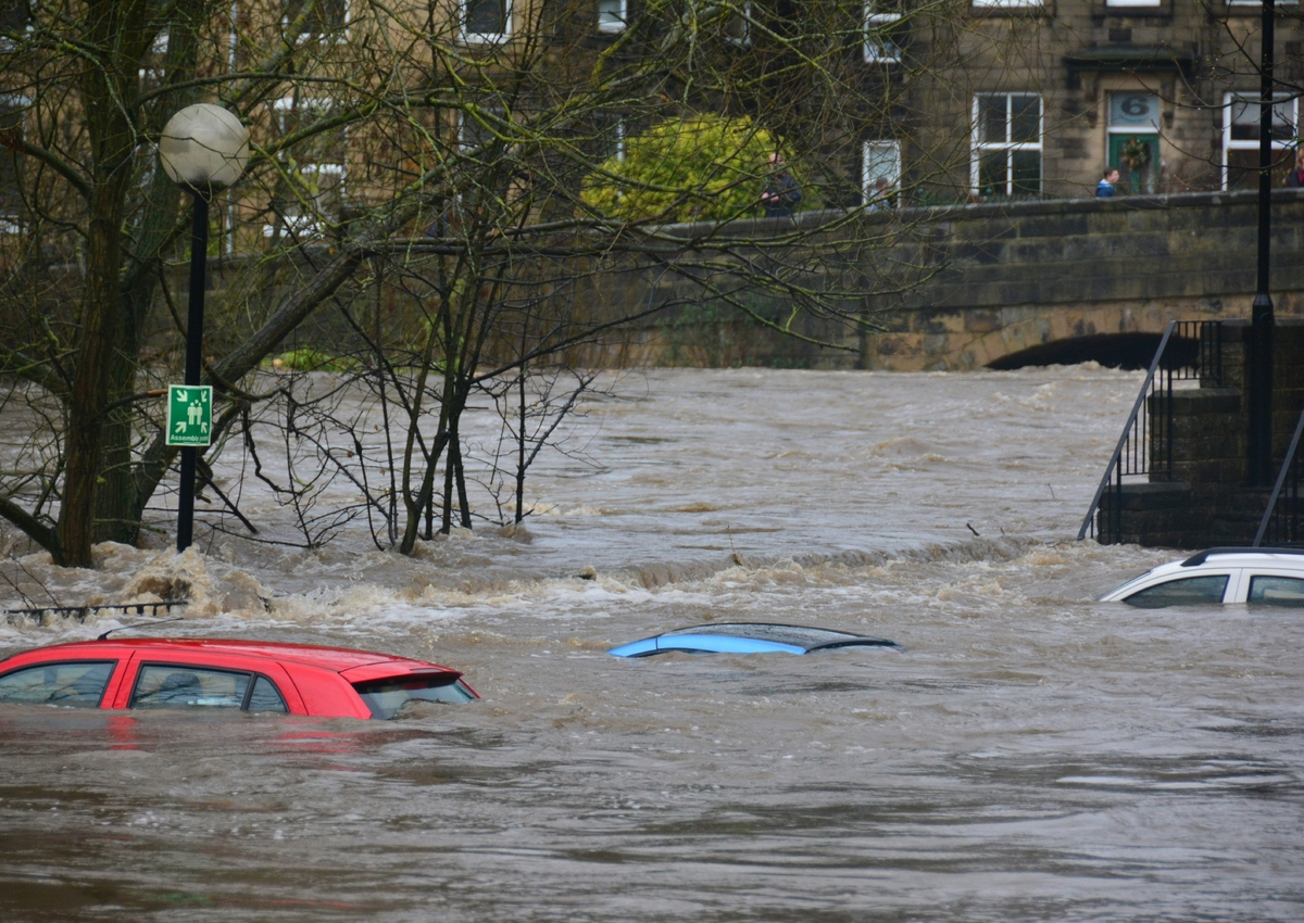 Flood recovery to future resilience: is the Western Cape prepared for what's next?
