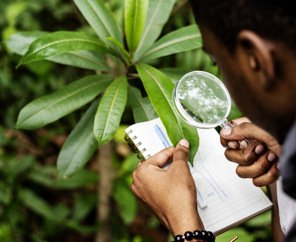 AfDB approves over $30m to protect farmers from climate shocks