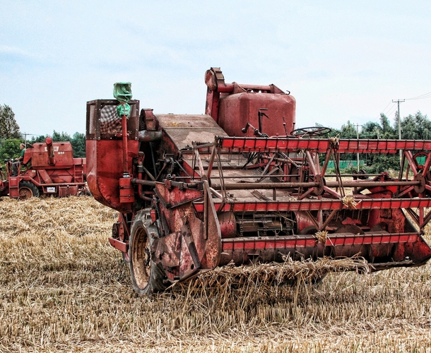 Demand for food in SA increasing substantially