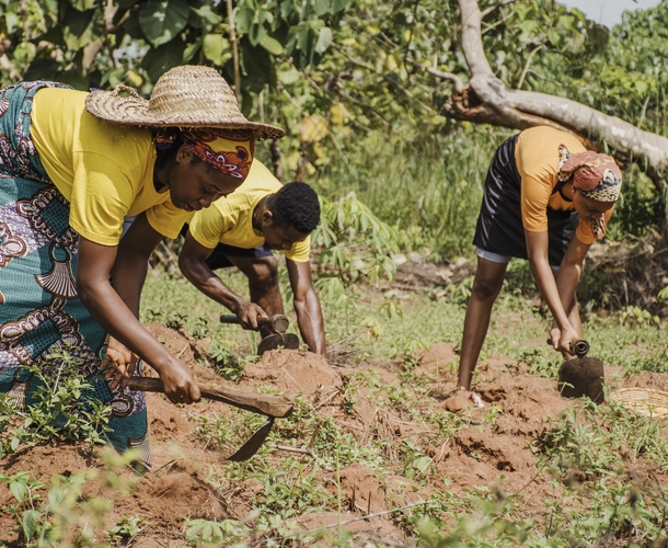 Protecting Farmers from Climate Change Risk in Fiji: SCOR