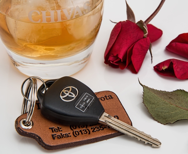 Discovery Insure continues to chip into market