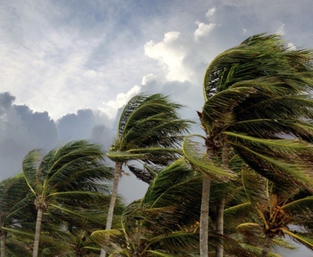PwC: Extreme weather and your business