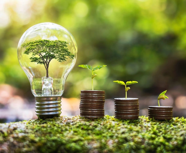 Allianz drives value creation through continued execution and progress of climate strategy