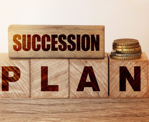 Achieving succession planning success: The importance of a holistic succession strategy