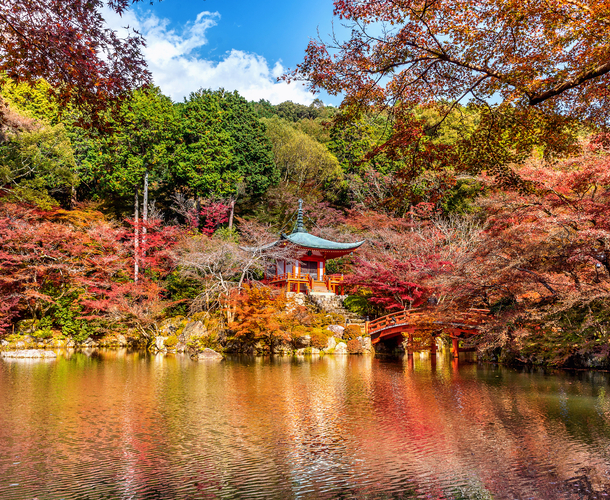 Systemic Risk: what Ueno Park reveals about climate stress in Asian cities