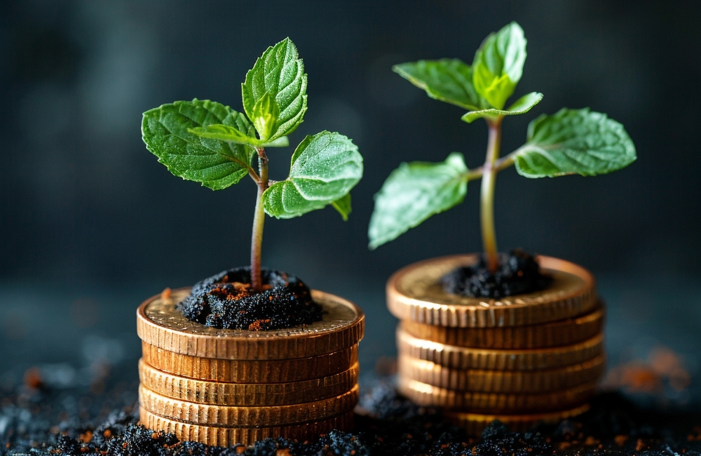 Koketso Mahlalela | Savvy alternatives to employee Two-pot withdrawals