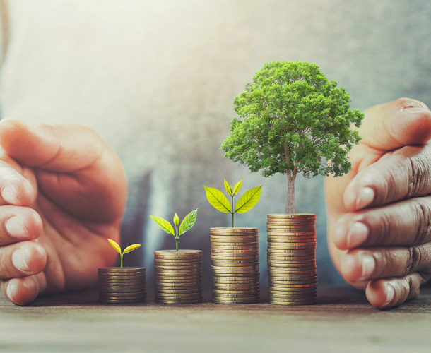 Holly Turner | Exploring climate solutions: an introduction for investors
